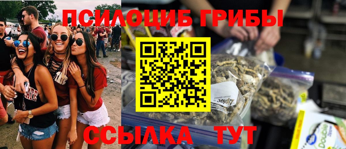 Псилоцибиновые грибы Psilocybe  Вход с VPN  Реж 