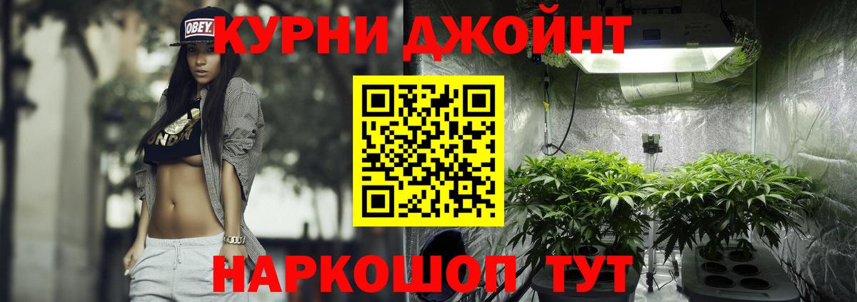 Шишки марихуана планчик Реж